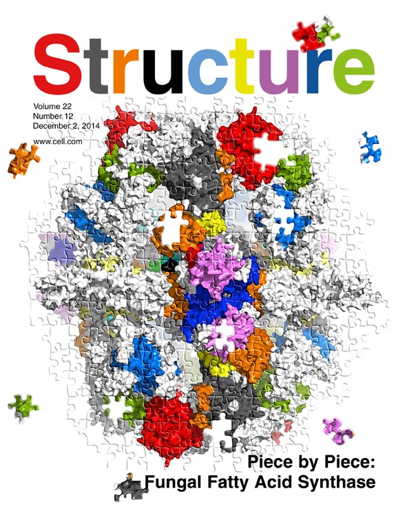 structure-cover